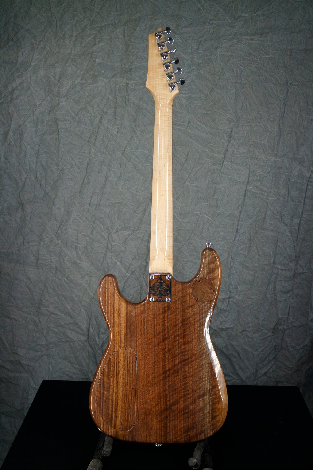 strat style stabilized boxelder burl