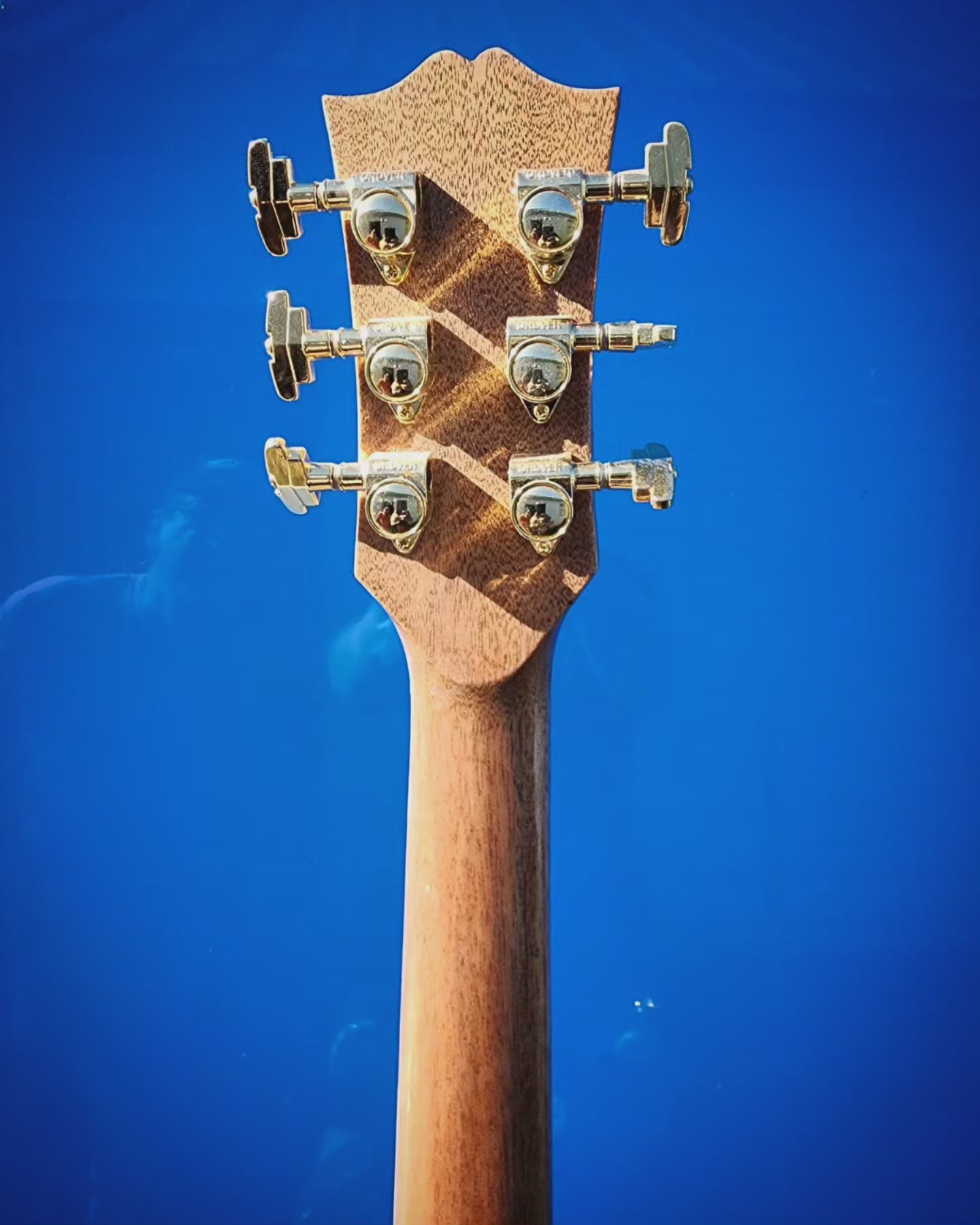Honduranrosewoodburl