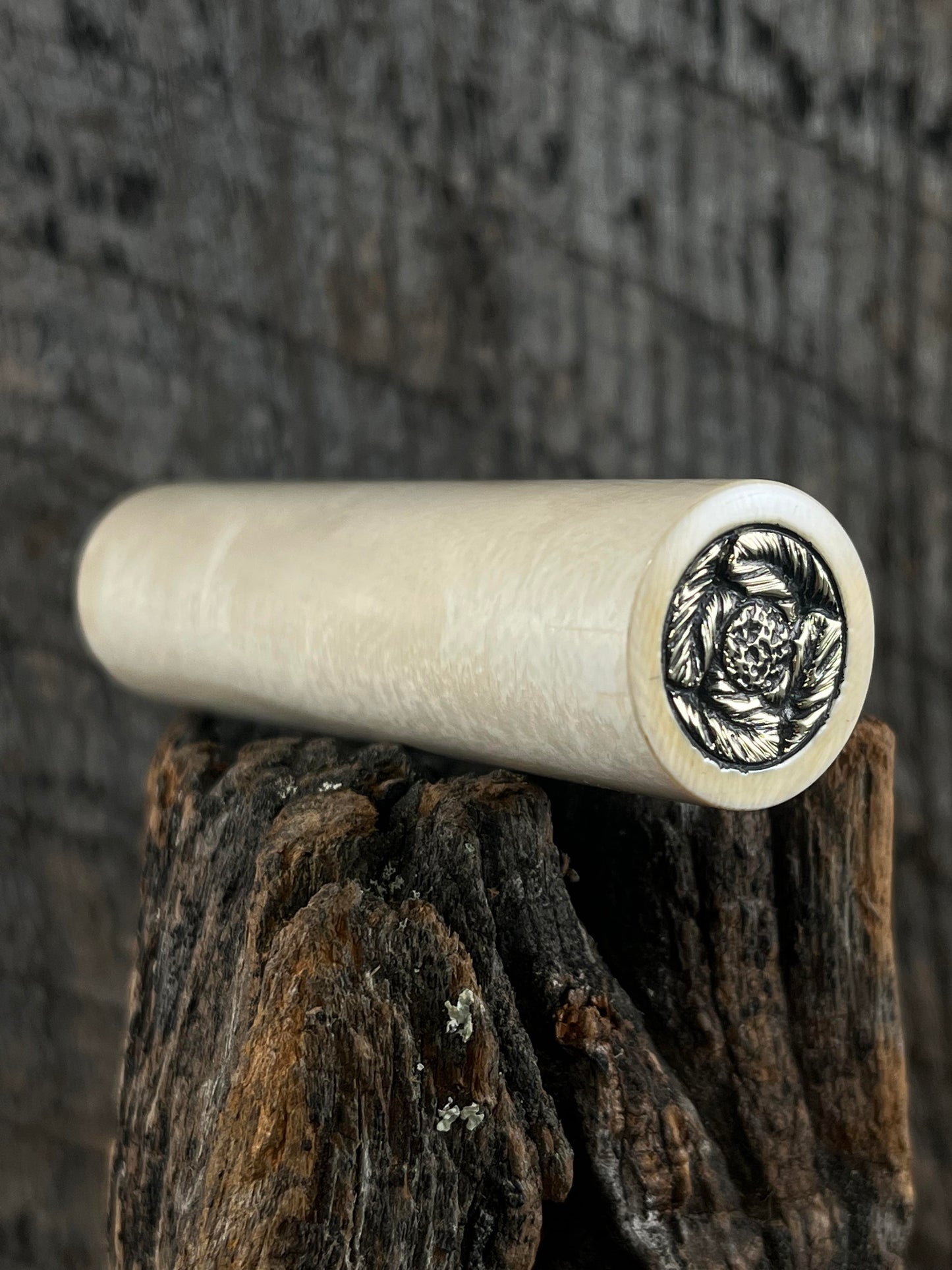 Mammoth fossilized Limited supply