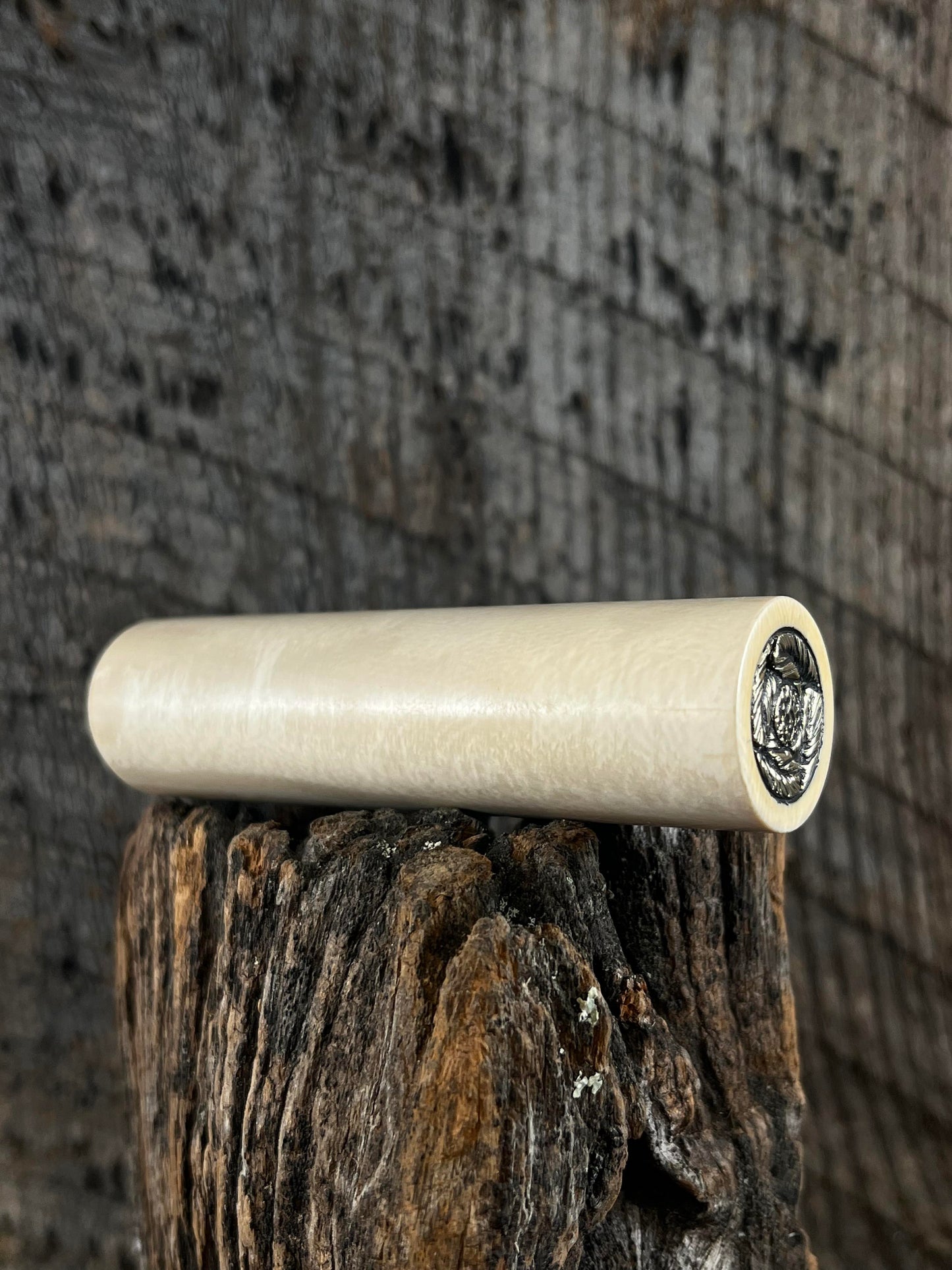 Mammoth fossilized Limited supply