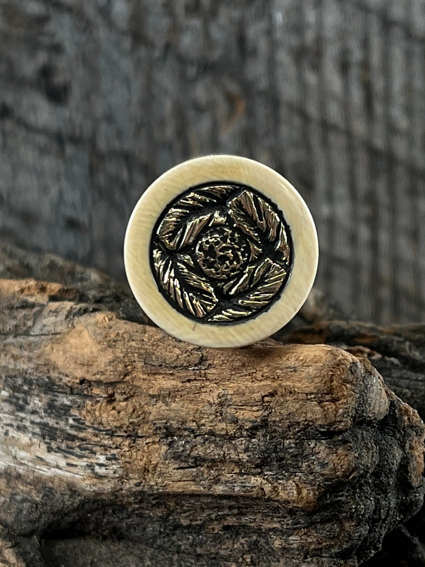 Mammoth fossilized Limited supply